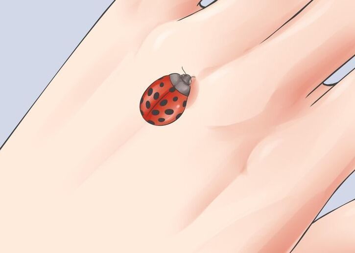 ladybug as a good luck talisman